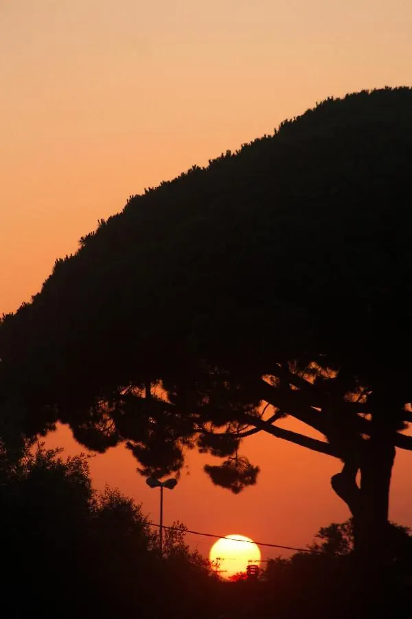 Au-Ra Vegan B&B Castagneto Carducci