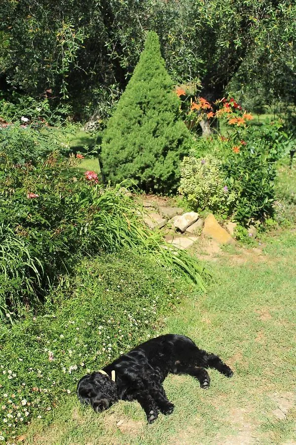 Au-Ra Vegan B&B Castagneto Carducci Bed & Breakfast