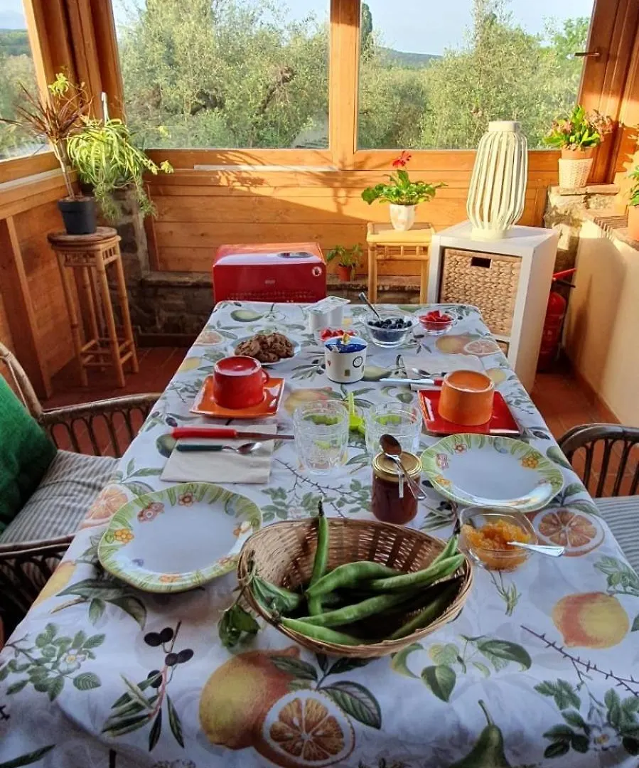 Au-Ra Vegan B&B Castagneto Carducci
