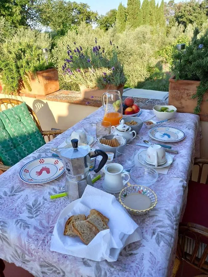 Au-Ra Vegan B&B Castagneto Carducci